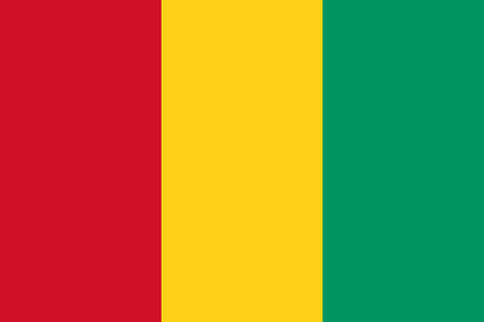 Guinea Fahne