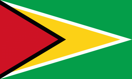 Guyana Fahne
