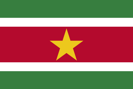 Surinam Fahne