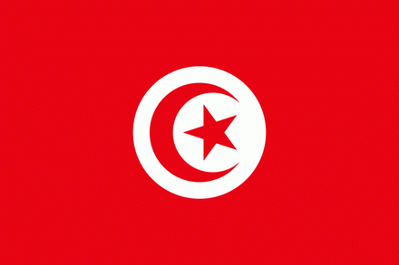 Tunesien Fahne